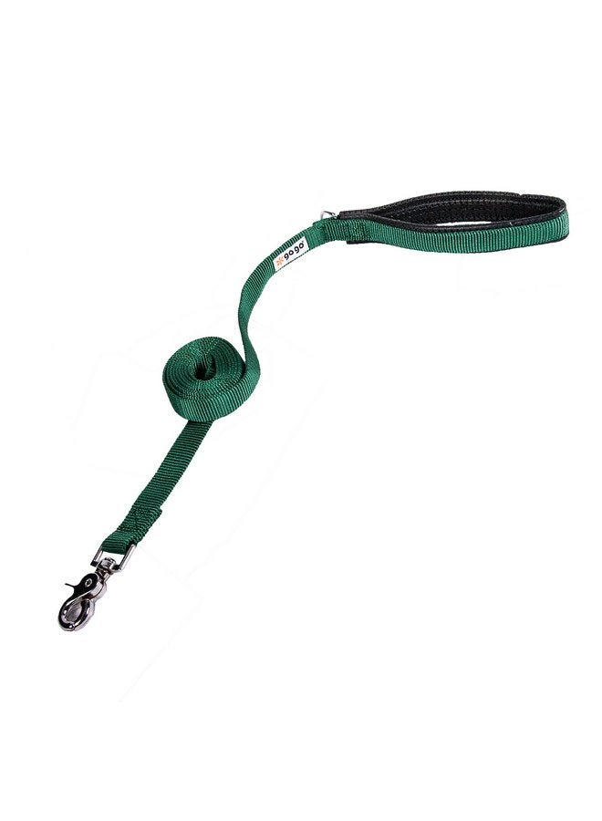 GOGO Pet Products 5/8-Inch Wide Comfy Nylon Dog Leash, 4-Feet Long, Hunter Green - Image 1