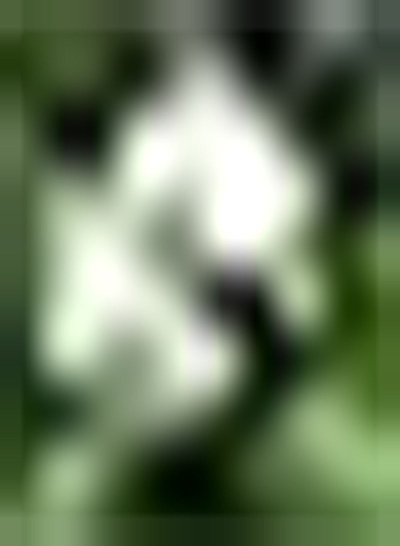 جي جوت 30 قطعة من بذور الياسمين ذات رائحة منعشة رائعة للرؤية من مسافة بعيدة متعددة الوظائف ذات قيمة مشاهدة عالية لديكور حفلات الزفاف - Image 2