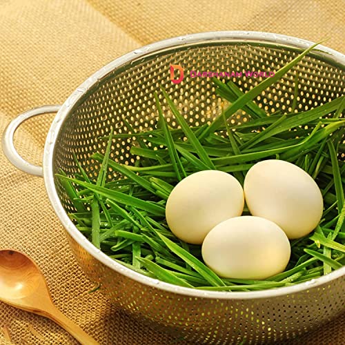 DARSHANAM WORLD Sink Stainless Steel Colander with Fine Mesh Strainer Basket Strain, Drain, Rinse Fruits, Vegetables - Image 3