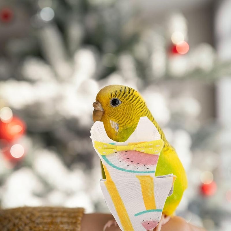 Washable Fruit Pattern Bird Diapers Flight Suits Small Size For Parakeets Parrots Pigeons - Image 5