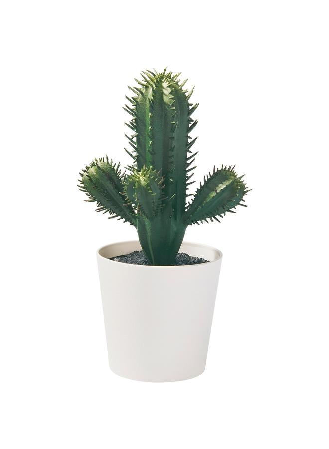 Zaboon Artificial Potted Plant, In/Outdoor Cactus, 6 Cm - Image 1