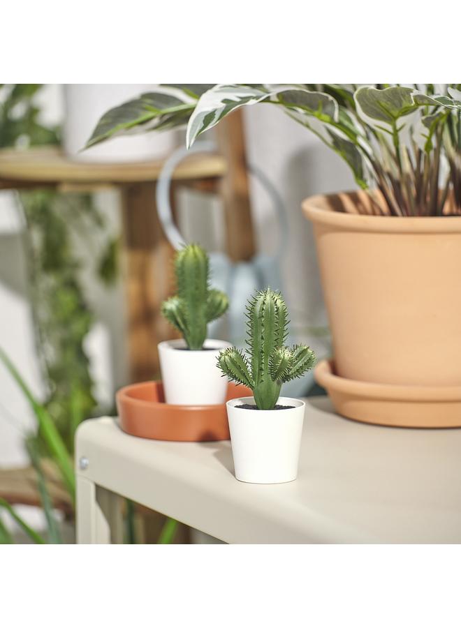 Zaboon Artificial Potted Plant, In/Outdoor Cactus, 6 Cm - Image 2