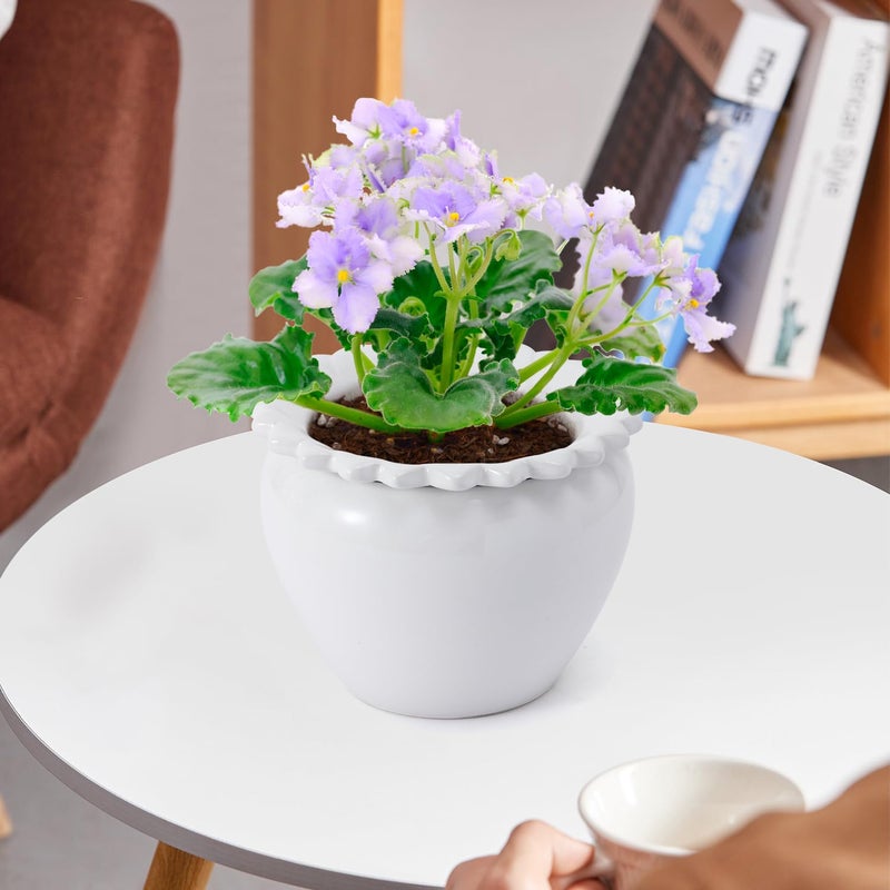 Lovely Ran African Violet Flower Pot Ceramic Self Watering Flower Pot 6.5 * 4.6 * 4 inch Simple Plant Self Watering Pot Indoor Flowers High Absorption Herbaceous Flower Pots Modern Decor Pots - Image 5