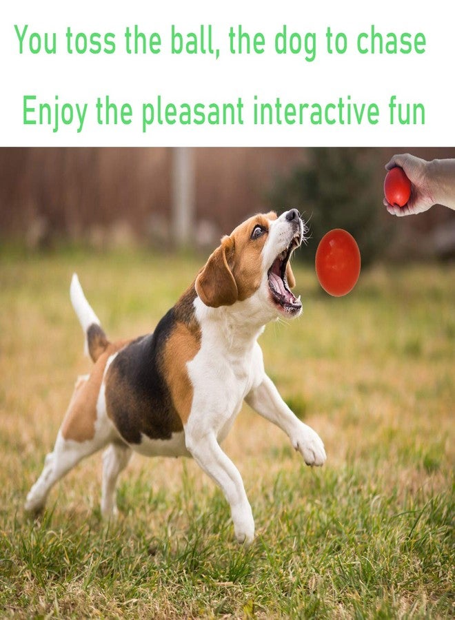 Sunglow Durable Dog Ball for Chewing & Training, Tough Indestructible Dog Chew Toy, Solid Rubber Bouncy Ball, Cleans Your Dog's Teeth & Improves Mental Health - Image 3