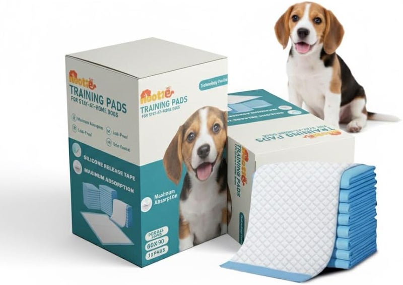 nootie Disposable Pet Training Pads Puppy Pee and Quick Drying Surface & Absorbent Core, Suitable for Medium/Large Breed Pets, Dogs, Cats -, 10 Pieces (60x90 cms) - Image 1