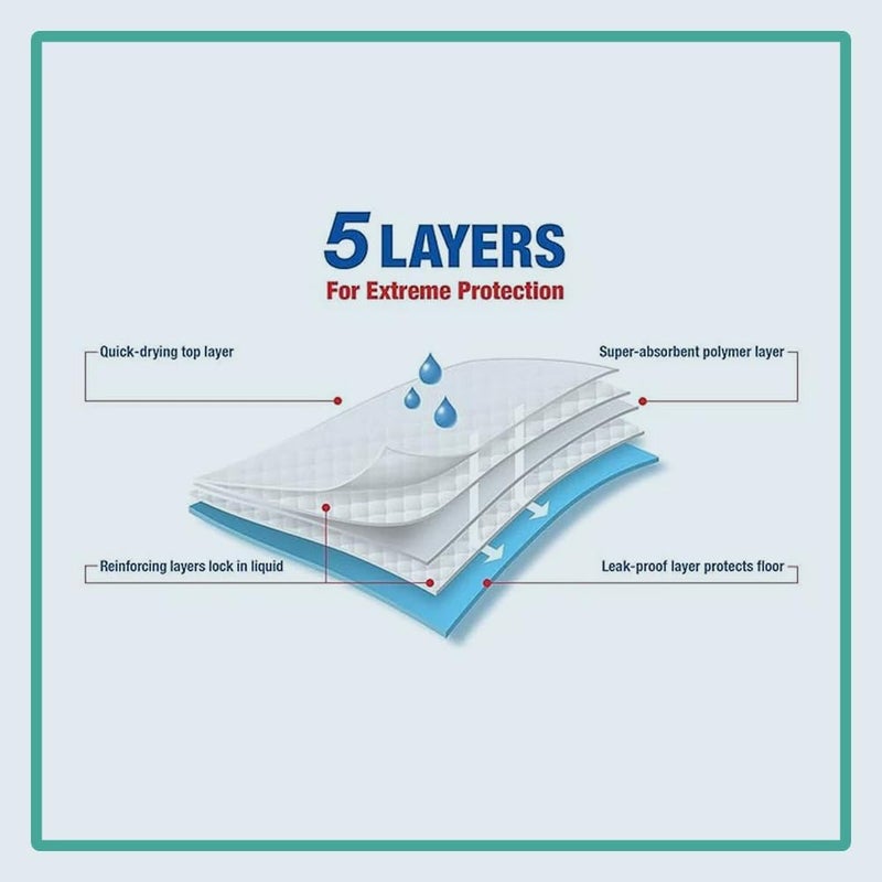 nootie Disposable Pet Training Pads Puppy Pee and Quick Drying Surface & Absorbent Core, Suitable for Medium/Large Breed Pets, Dogs, Cats -, 10 Pieces (60x90 cms) - Image 5