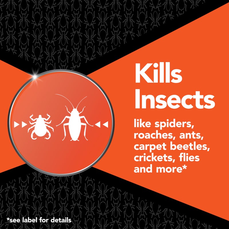 RAID رايد ماكس فاجر، قاتل الحشرات للبعوض، النمل، الصراصير، العناكب، البراغيث، للاستخدام الداخلي 6.3 أونصة (عبوة من 1) - Image 2