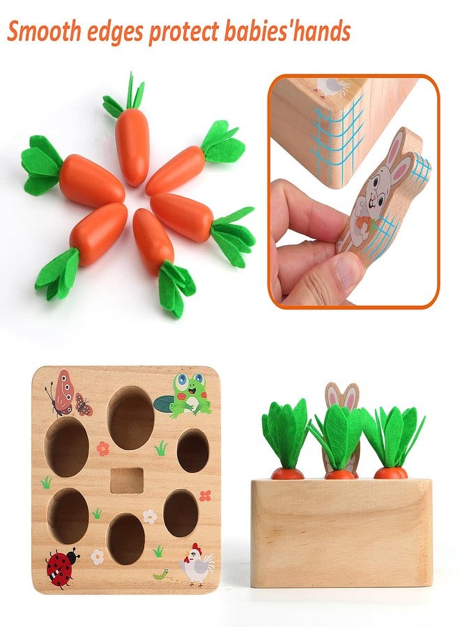 SKYFIELD Carrot Harvest Game Wooden Shape Sorting Puzzle for Baby Boys and Girls 1-3 Years, Montessori Gift Toy with 7 Sizes Carrots - Image 3