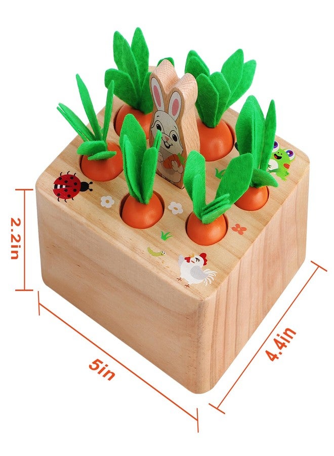 SKYFIELD Carrot Harvest Game Wooden Shape Sorting Puzzle for Baby Boys and Girls 1-3 Years, Montessori Gift Toy with 7 Sizes Carrots - Image 2