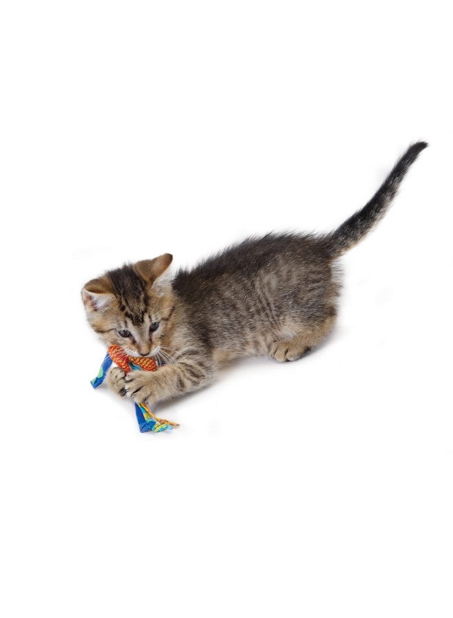 Catstages Petstages Dental Health Chews Pair - Image 4