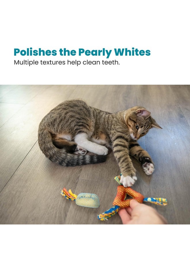 Catstages Petstages Dental Health Chews Pair - Image 5