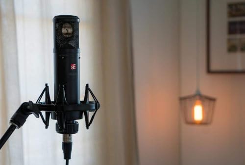 SE Electronics SE2200 Large Diaphragm Cardioid Condenser Microphone,Black - Image 5