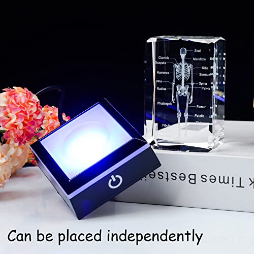 Movdyka 3D Human Skeleton Anatomy Model Doctor Psychology Graduation Gifts for Him Her, Laser Etched Crystal Skeleton Figurine Paperweight Science Biology Gift with Colorful LED Base - Image 3