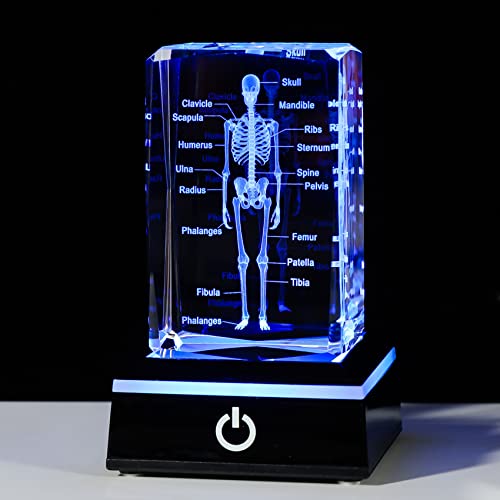 Movdyka 3D Human Skeleton Anatomy Model Doctor Psychology Graduation Gifts for Him Her, Laser Etched Crystal Skeleton Figurine Paperweight Science Biology Gift with Colorful LED Base - Image 1