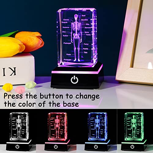 Movdyka 3D Human Skeleton Anatomy Model Doctor Psychology Graduation Gifts for Him Her, Laser Etched Crystal Skeleton Figurine Paperweight Science Biology Gift with Colorful LED Base - Image 2