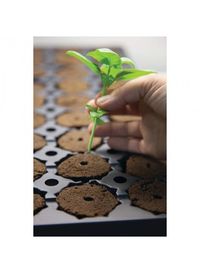 General Hydroponics Rapid Rooter, Starter Plug for Seeds or Cuttings, Great for Soil or Hydroponics Growing System, 50 Plugs - Image 3