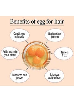 Quat Hairfall Prevent Egg Shampoo 300Ml  - Image 3