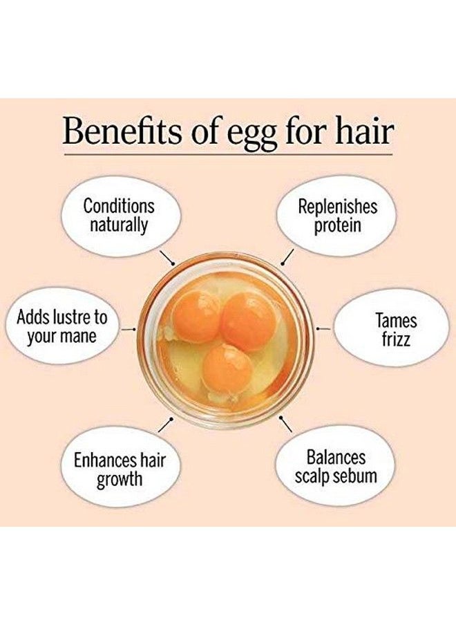 Quat - Hairfall Prevent Egg Shampoo 300Ml - Image 1