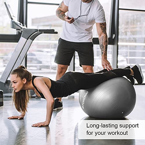 STOROMO Exercise Ball,Yoga Ball(with Exercise Tutorial)，Extra Thick Non-Slip,Holds 2500 lbs, Workout Ball for Pregnancy Birthing and Balance Stability (Silver, 65cm/25.6in) - Image 2
