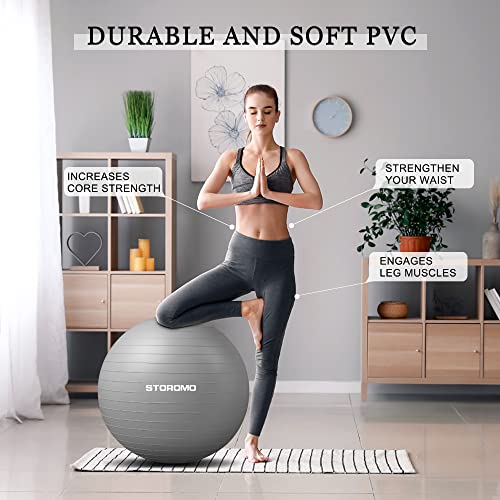 STOROMO Exercise Ball,Yoga Ball(with Exercise Tutorial)，Extra Thick Non-Slip,Holds 2500 lbs, Workout Ball for Pregnancy Birthing and Balance Stability (Silver, 65cm/25.6in) - Image 4