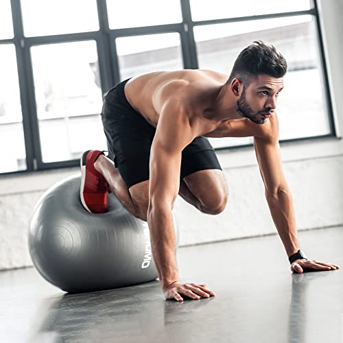 STOROMO Exercise Ball,Yoga Ball(with Exercise Tutorial)，Extra Thick Non-Slip,Holds 2500 lbs, Workout Ball for Pregnancy Birthing and Balance Stability (Silver, 65cm/25.6in) - Image 3