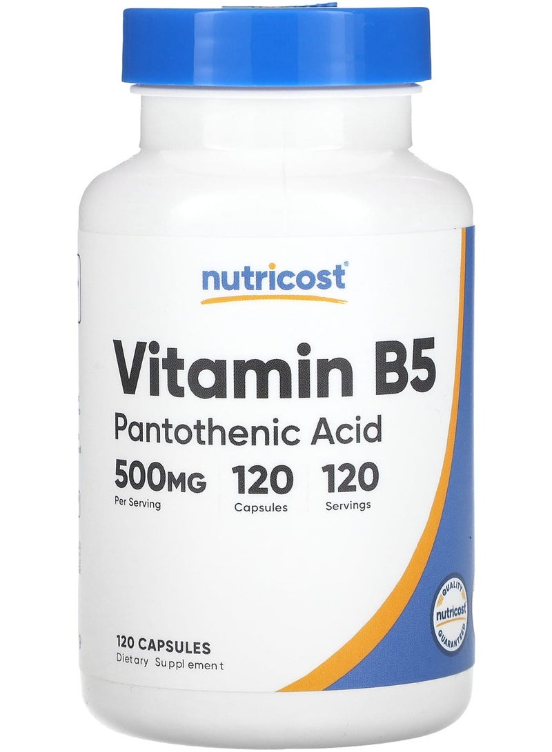 Nutricost Vitamin B 5 500 Mg 120 Capsules
