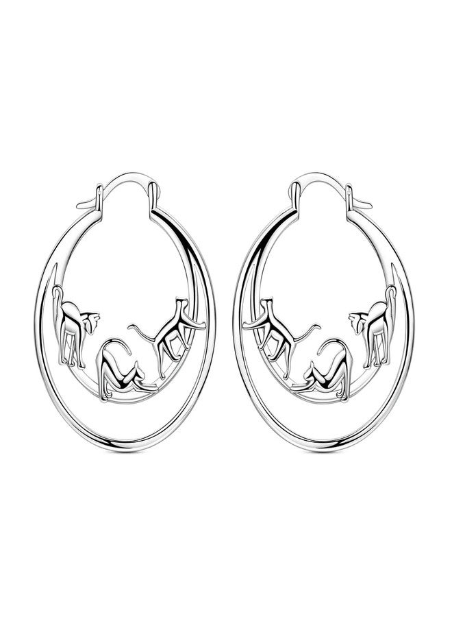 NARMO 925 Sterling Silver Hoop Earrings for Women Hypoallergenic Lightweight Simple Huggie Hoop Earrings Twisted Hoop Earrings Colorful Cubic Zirconia Hoop Earrings Rainbow Hoop Earrings, Silver - Image 1