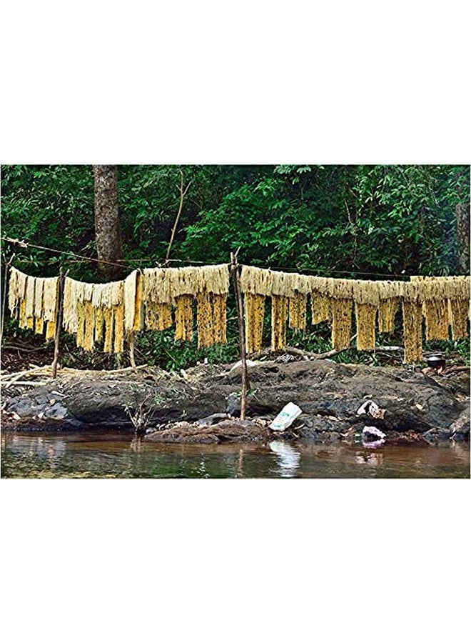 LJL Traders Natural Ayurvedic Herbal Scrubber/Acacia caesia/Incha/Nikunjika/Enja - 100 gm - Image 3