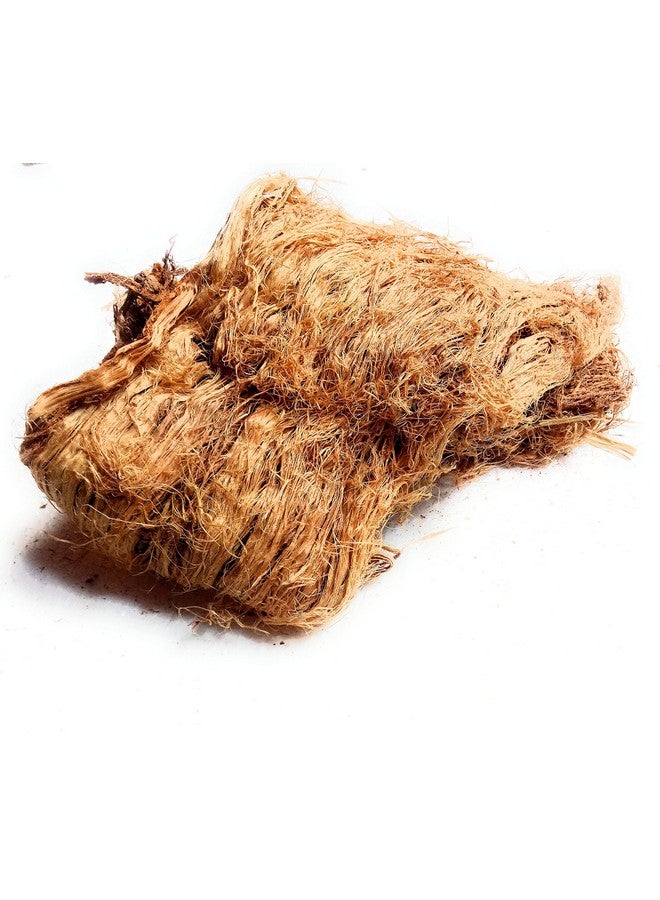 LJL Traders Natural Ayurvedic Herbal Scrubber/Acacia caesia/Incha/Nikunjika/Enja - 100 gm - Image 2