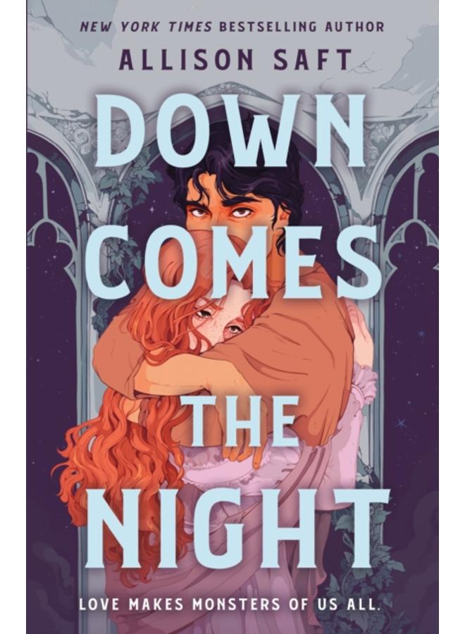 Down Comes the Night : A Novel