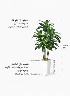 Zvezvia Artificial Dracaena Tree 150cm with White Planter - Realistic Fake Tropical Yucca Plant for Home, Office, and Living Room Decor - Maintenance-Free Indoor Silk Tree  - Image 5