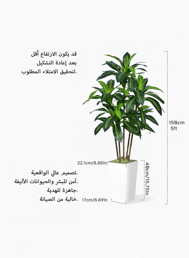Zvezvia Artificial Dracaena Tree 150cm with White Planter - Realistic Fake Tropical Yucca Plant for Home, Office, and Living Room Decor - Maintenance-Free Indoor Silk Tree - Image 4