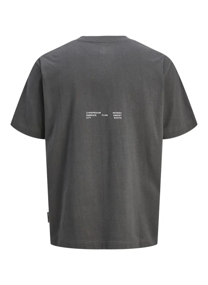 JACK & JONES Crew Neck T-Shirt