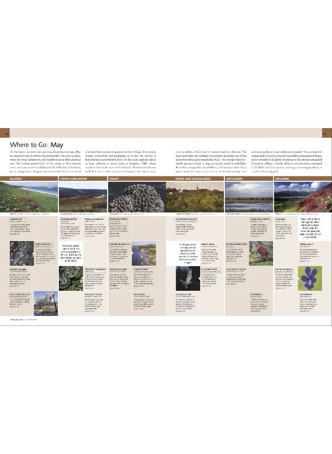 Where to Go Wild in the British Isles: A Month-by-Month Guide to the Best Nature Experiences  - Image 5