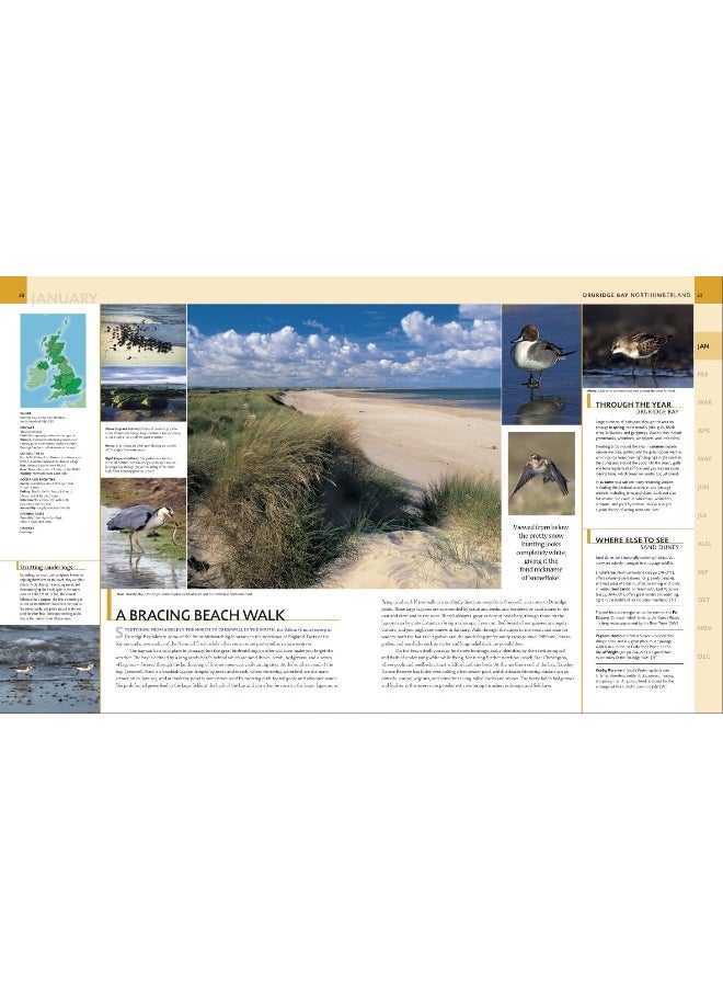 Where to Go Wild in the British Isles: A Month-by-Month Guide to the Best Nature Experiences  - Image 4