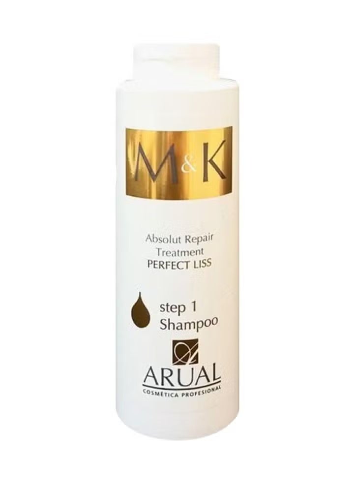Absolute Perfect Liss Hair Treatment & Repair Shampoo 400ml