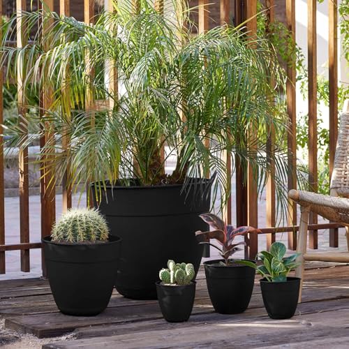 Bloem Dayton Planter with Saucer 12 Black 100 Recycled Plastic Pot Removable Saucer Elevated Feet for Indoor and Outdoor Use Gardening 3 Gallon Capacity - Image 3