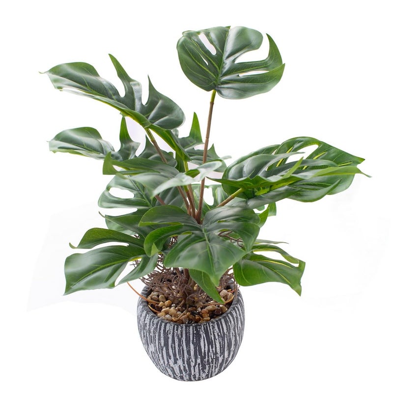 AlphaAcc 16 inch Artificial Indoor Plants Office Desk Faux Plant Peperomia Leaf Ficus Plant Realistic Small Fake Farmhouse Plants for Home Kitchen Bathroom Bedroom Evergreen Decor