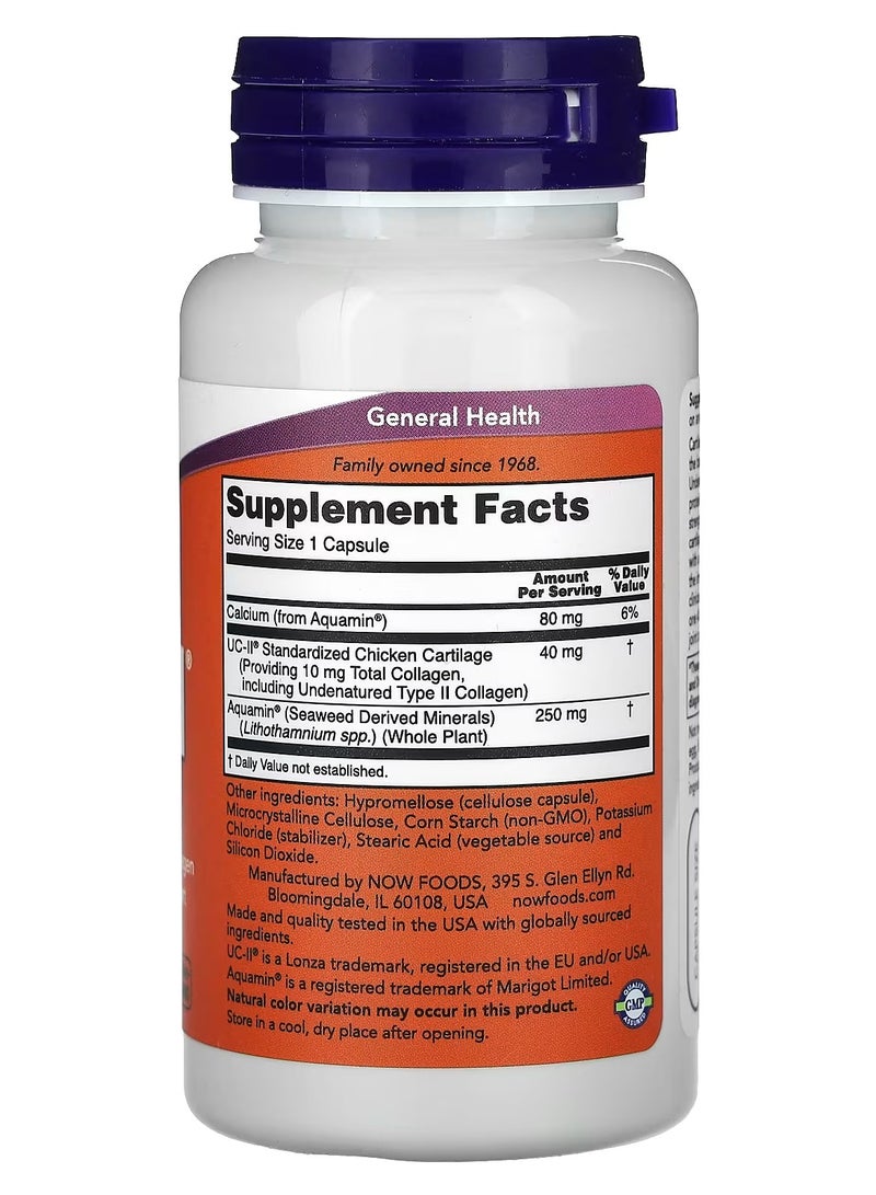 now UC-II® Joint Health with Undenatured Type II Collagen, 120 Capsules - Image 2
