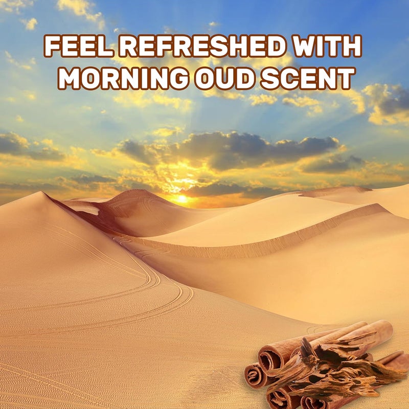 ECOLYTE+ سائل منظف الملابس - عود الصباح، 2 لتر - Image 3