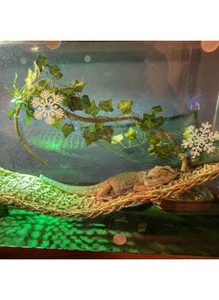 Kathson kathson Reptile Wooden Bridge,Bearded Dragon Hammock Decor Wood Reptile Hideout Hut Terrarium Hanging Plants Climbing Accessories Reptiles Hide Caves for Snake Gecko Lizard Tortoise (3 Pcs)  - Image 2