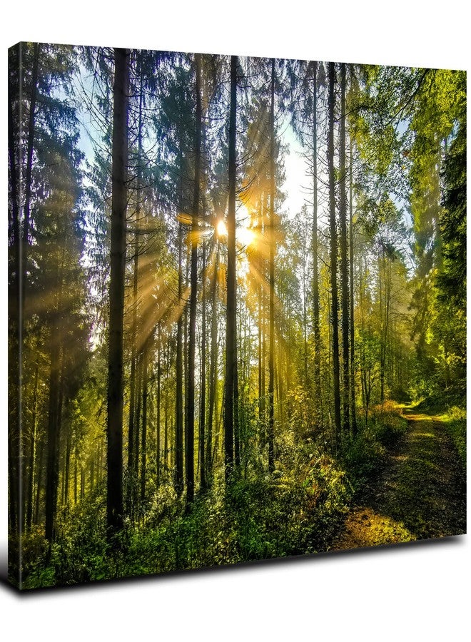 AREBOLO Sunrise Forest Canvas Wall Art for Living Room Nature Landscape Pictures Wall Decor Sunset Woods Mountain Painting Sunset Trees Trail Scenery Photo Prints Poster Artwork Bathroom Decorations 12x16” - Image 1