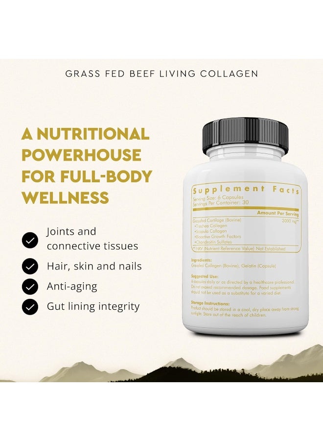 Ancestral Supplements Grass Fed (Living) Collagen-Supports Joints, Marrow Bones, Cartilage, Skin, Hair & Nails (180 Capsules) - Image 3