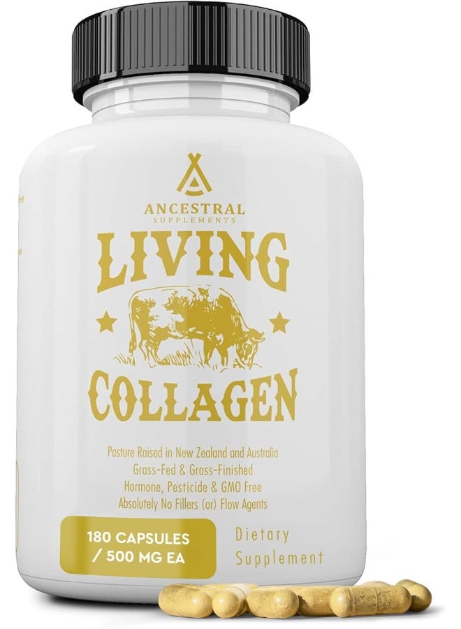 Ancestral Supplements Grass Fed (Living) Collagen-Supports Joints, Marrow Bones, Cartilage, Skin, Hair & Nails (180 Capsules) - Image 1