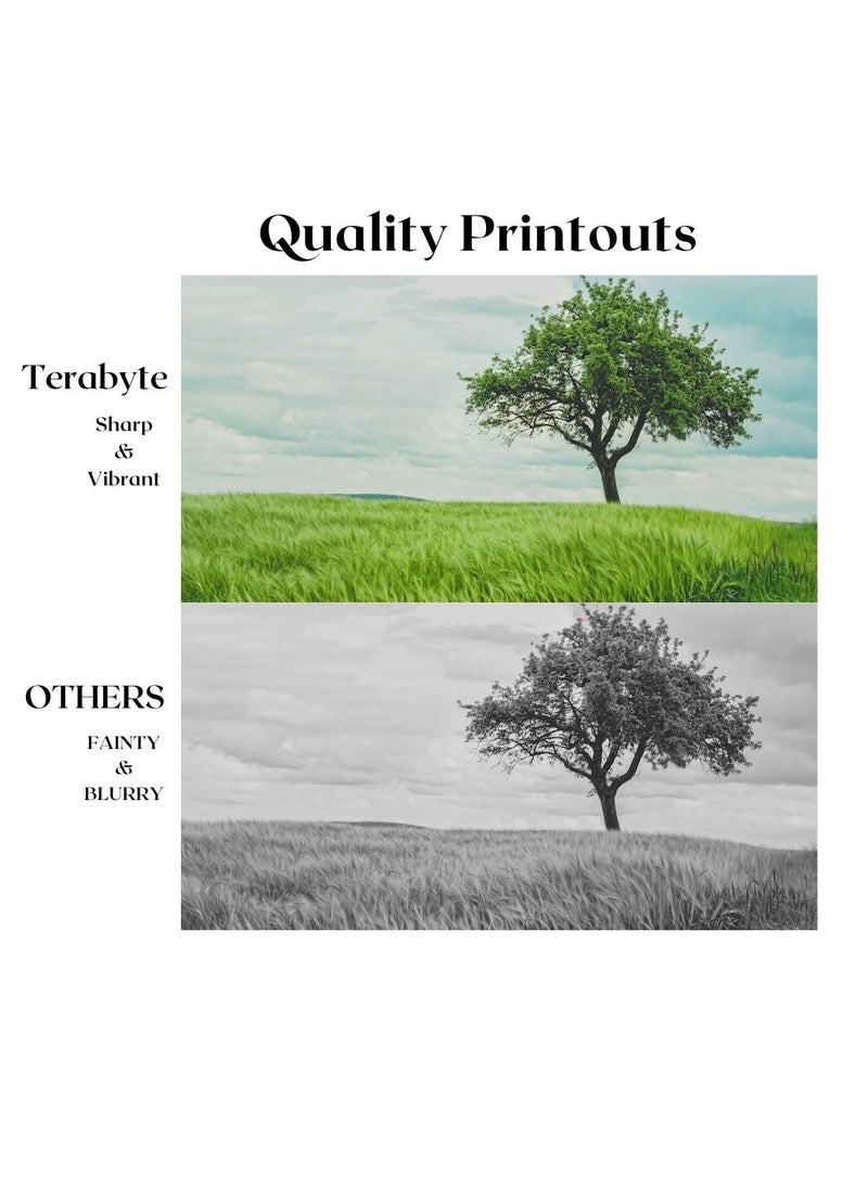 Terabyte TK6325 KYOCERA COMPATIBLE TONER TERABYTE - Image 2