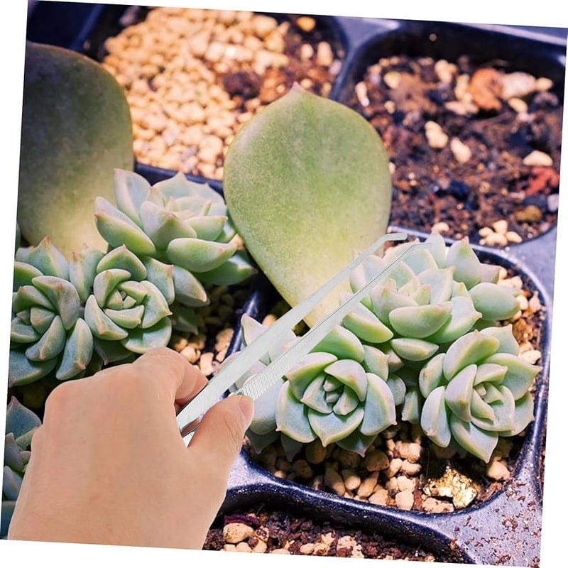 4Pcs Stainless Steel Long Hand Tweezers For Garden Pruning Bonsai Care And Crafts - Image 5