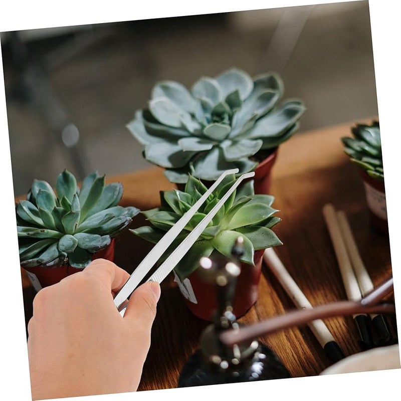 4Pcs Stainless Steel Long Hand Tweezers For Garden Pruning Bonsai Care And Crafts - Image 3