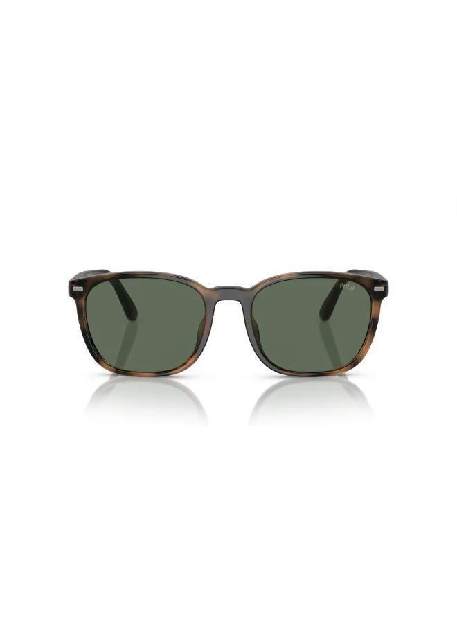 0Ph4208U Rectangular Sunglasses