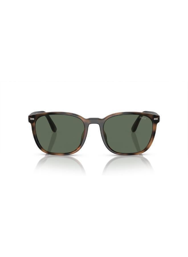 بولو رالف لورين نظارات شمسية مستطيلة - Image 1