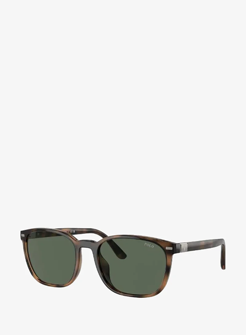 Polo Ralph Lauren  0Ph4208U Rectangular Sunglasses for Men | Best Price UAE